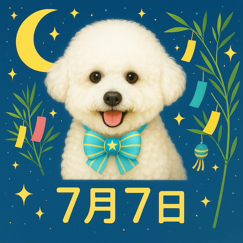 ☆今日は七夕☆